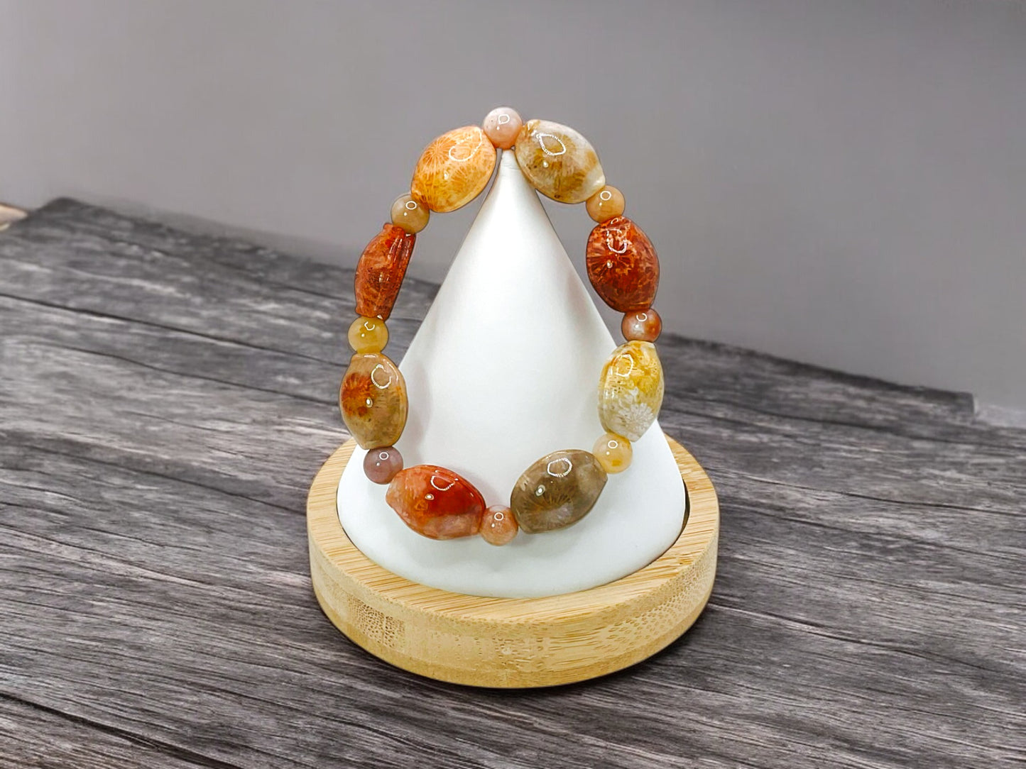 CORAL FOSSIL COLLECTION