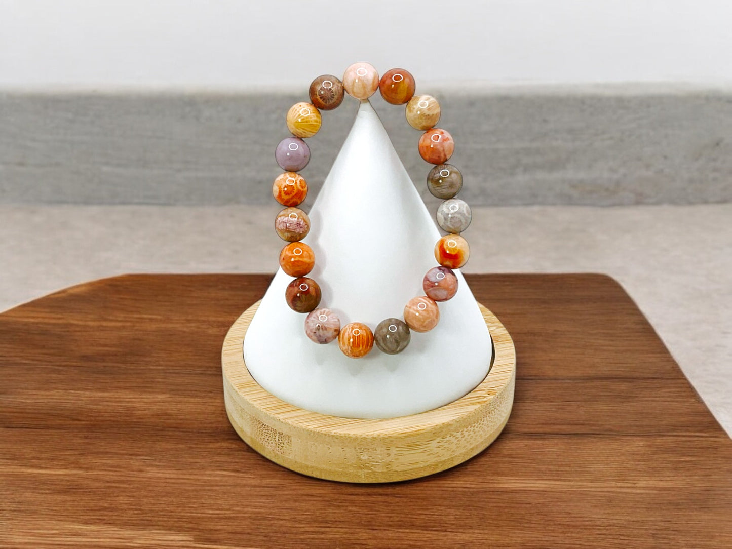 CORAL FOSSIL COLLECTION