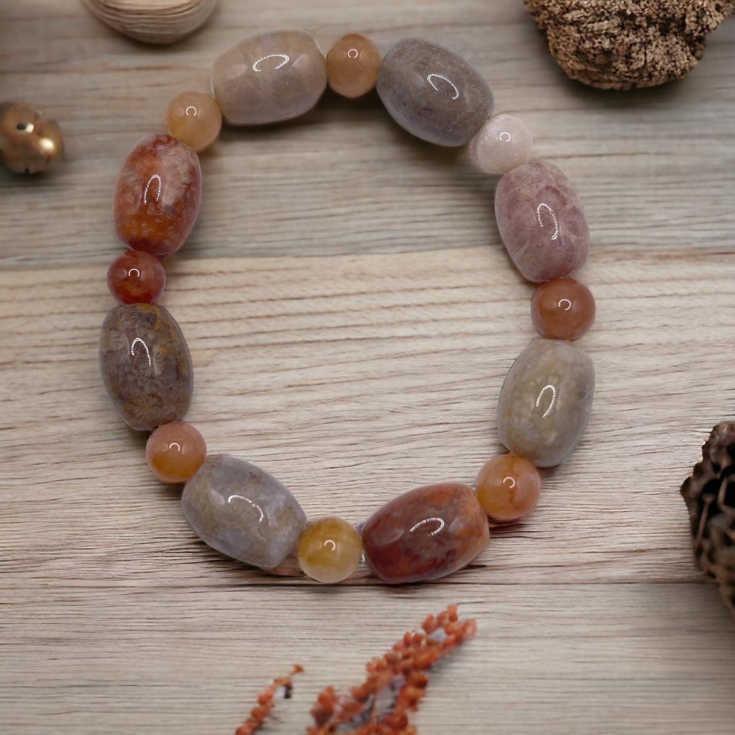 CORAL FOSSIL COLLECTION