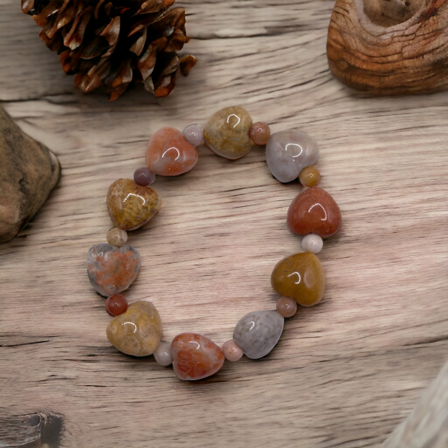 CORAL FOSSIL COLLECTION