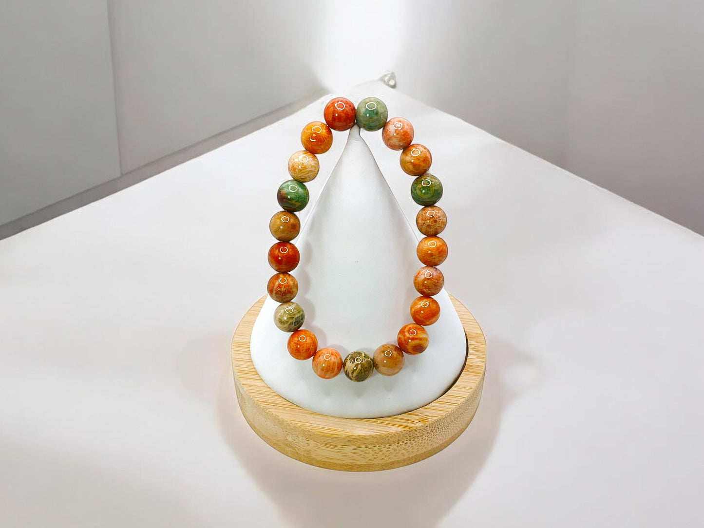 CORAL FOSSIL COLLECTION