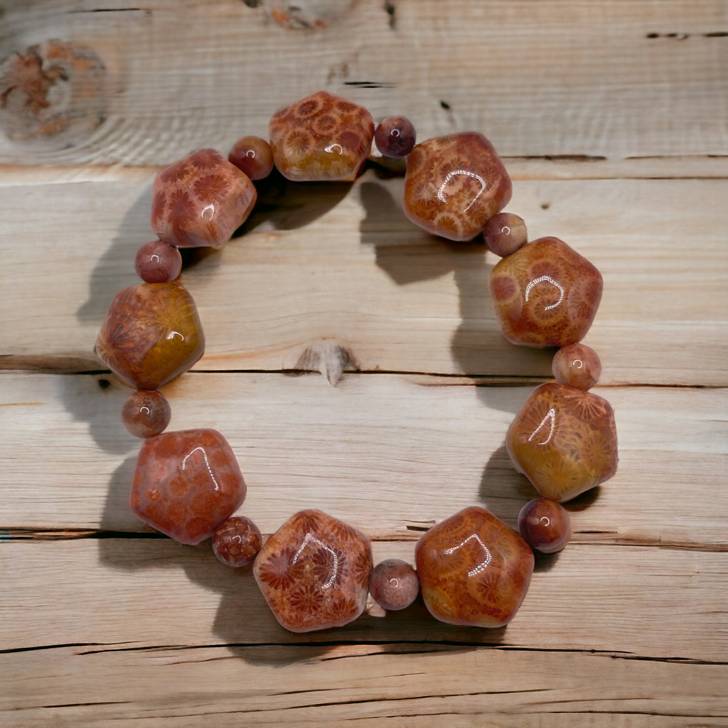 CORAL FOSSIL COLLECTION