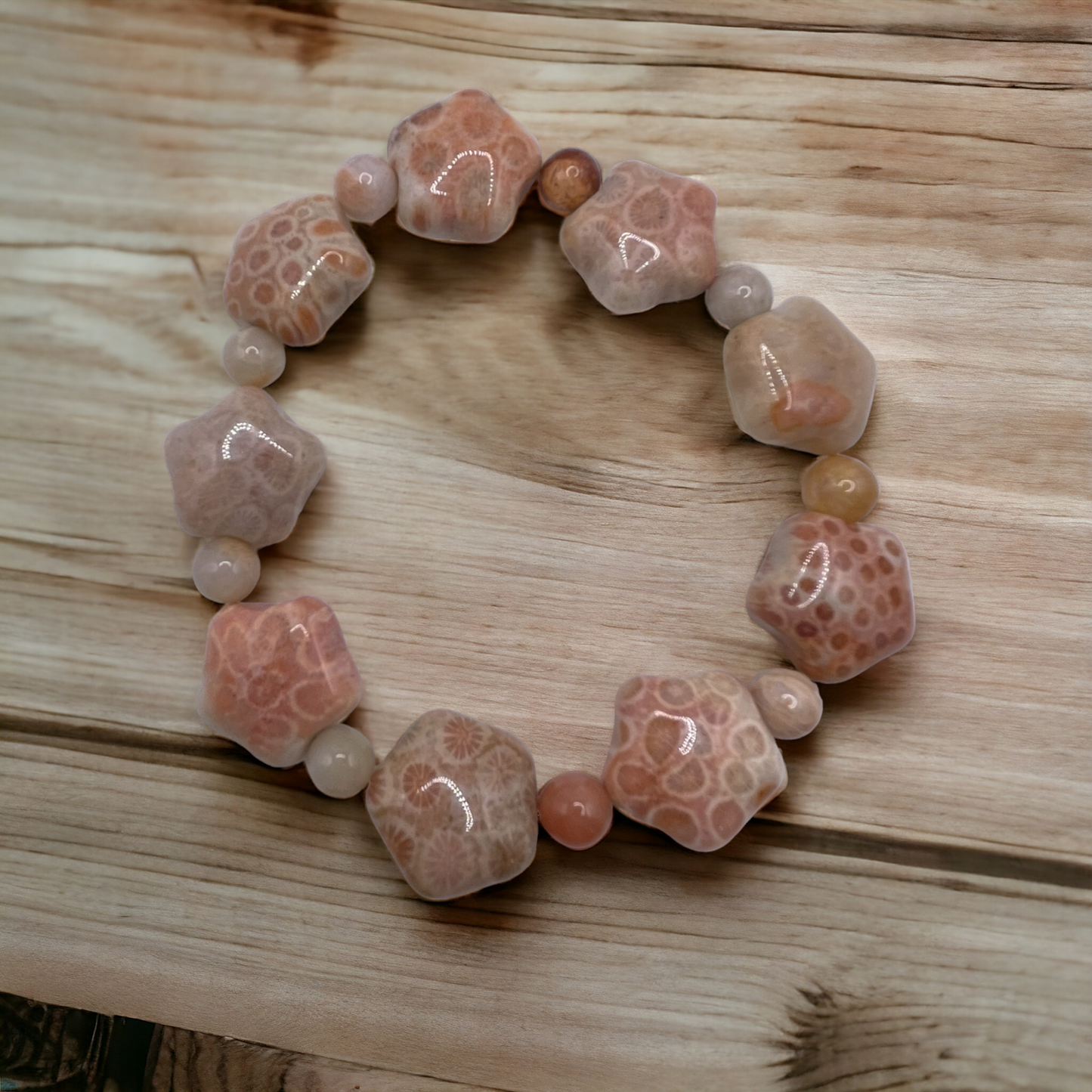 CORAL FOSSIL COLLECTION