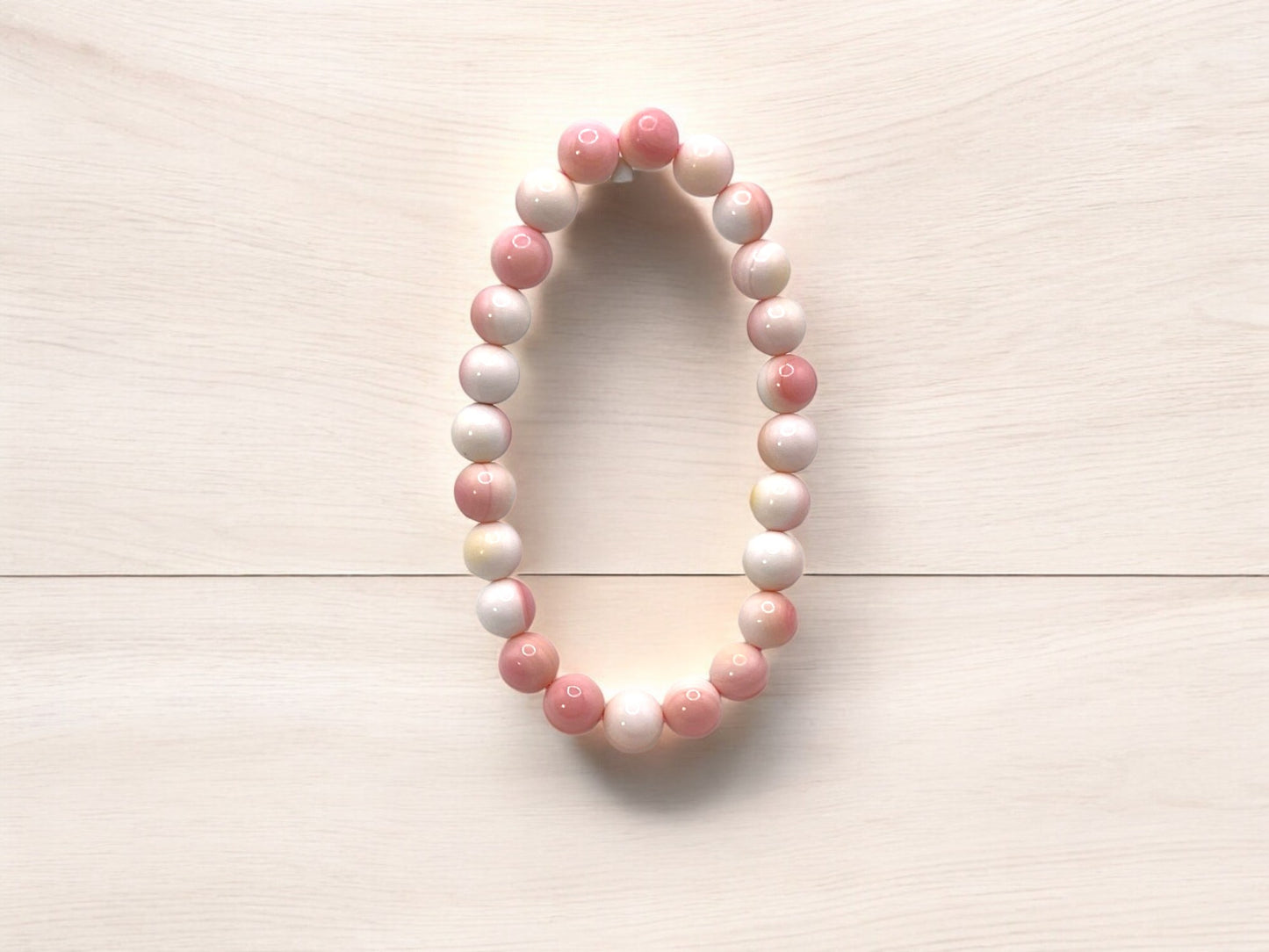 QUEEN CONCH COLLECTION