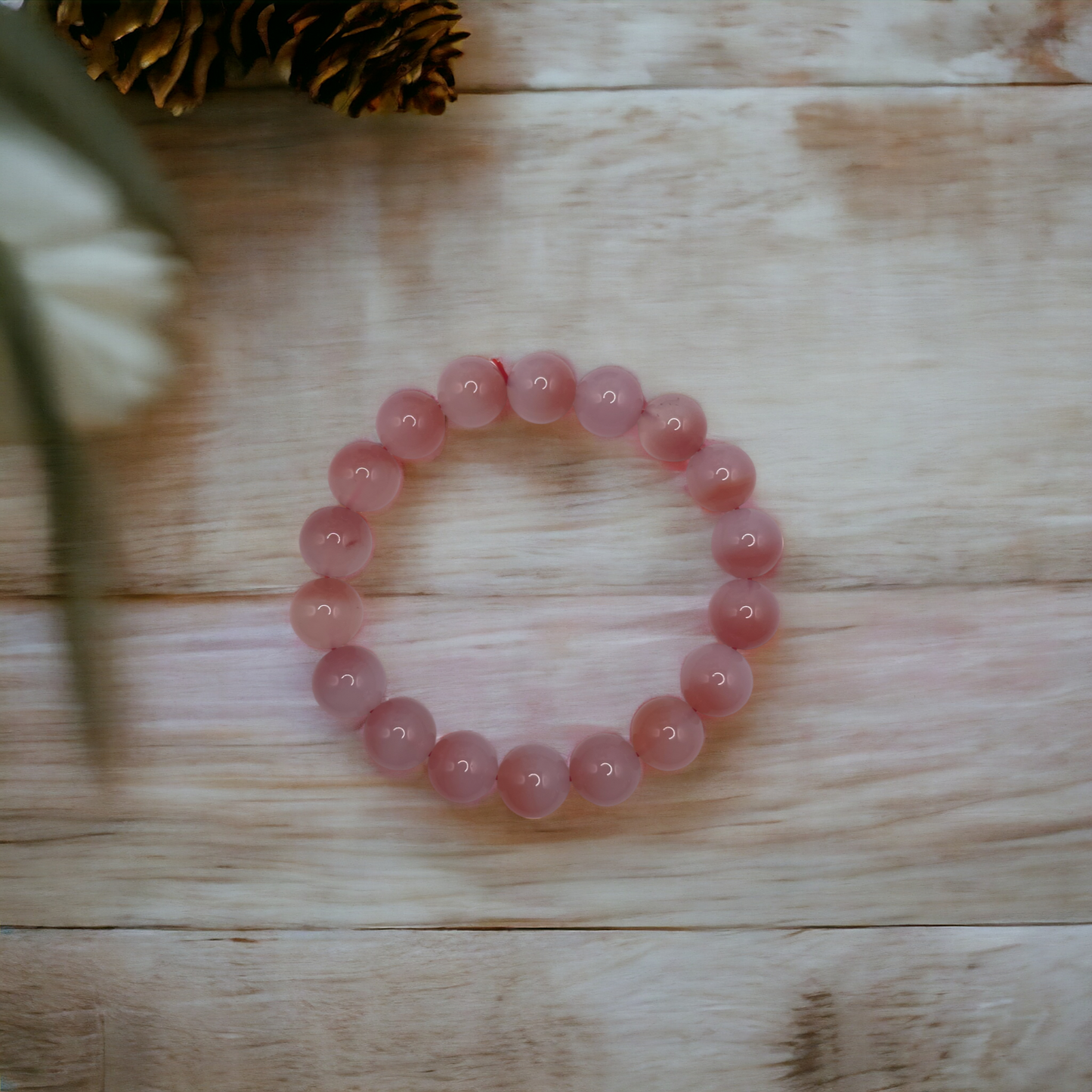 YANYUAN AGATE COLLECTION